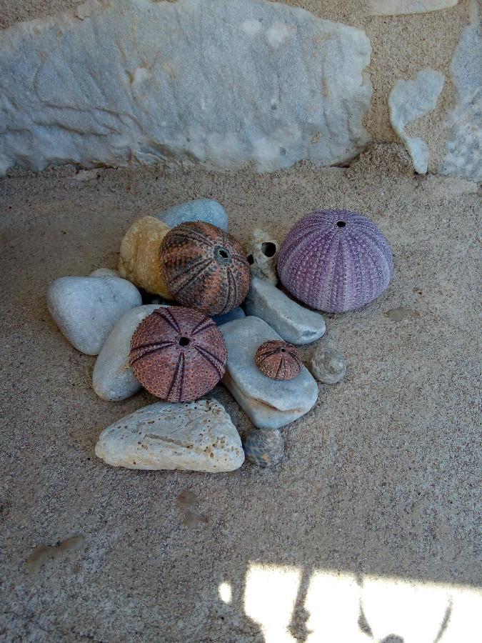 شقة Amphitrite'S House Néon Oítilon المظهر الخارجي الصورة